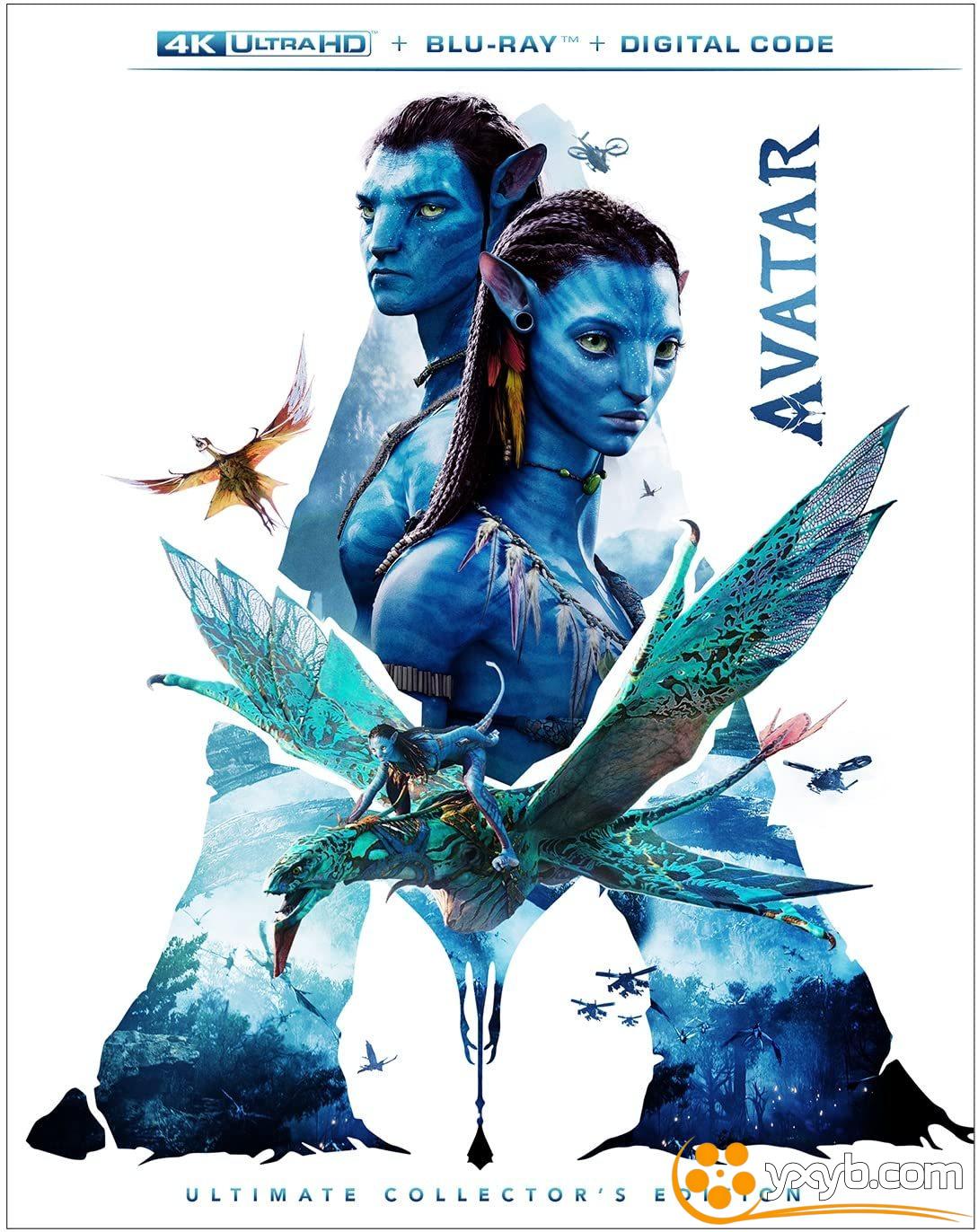 阿凡达 Avatar (2009)