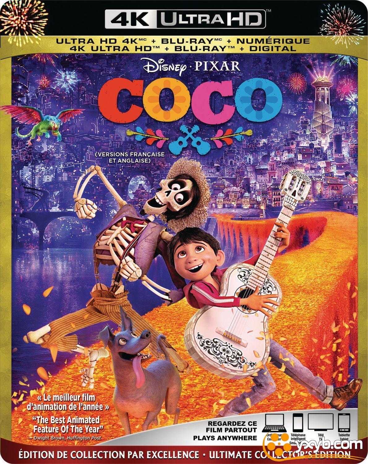 寻梦环游记 Coco (2017) 玩转极乐园(港) / 可可夜总会(台) / 亡灵总动员(豆友译名) / 冥冥之中(豆友译名) / 墨西哥亡灵节 / 可可
