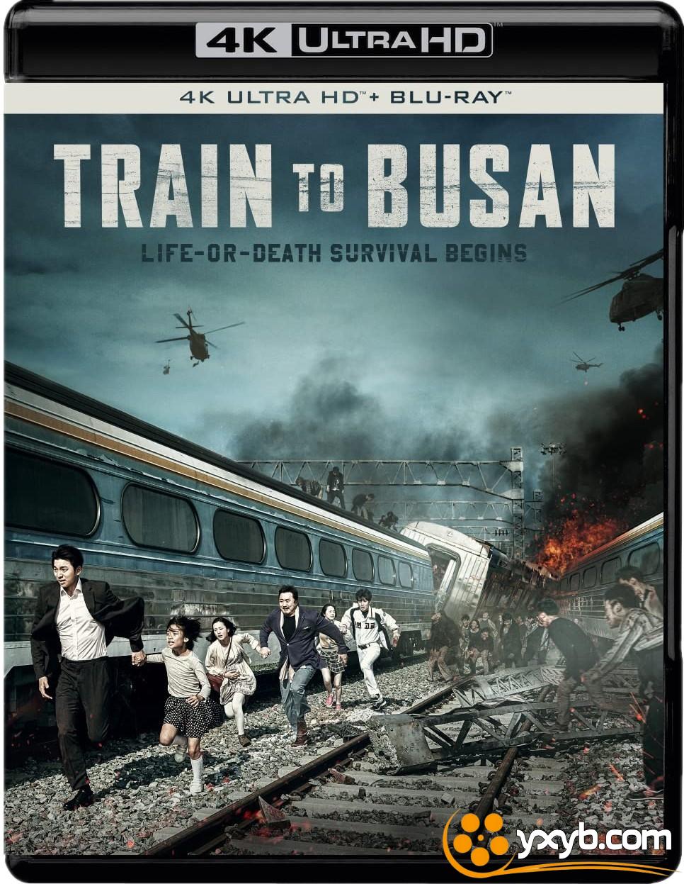 釜山行 부산행 (2016) 尸杀列车(港) / 尸速列车(台) / Train to Busan / Busanhaeng