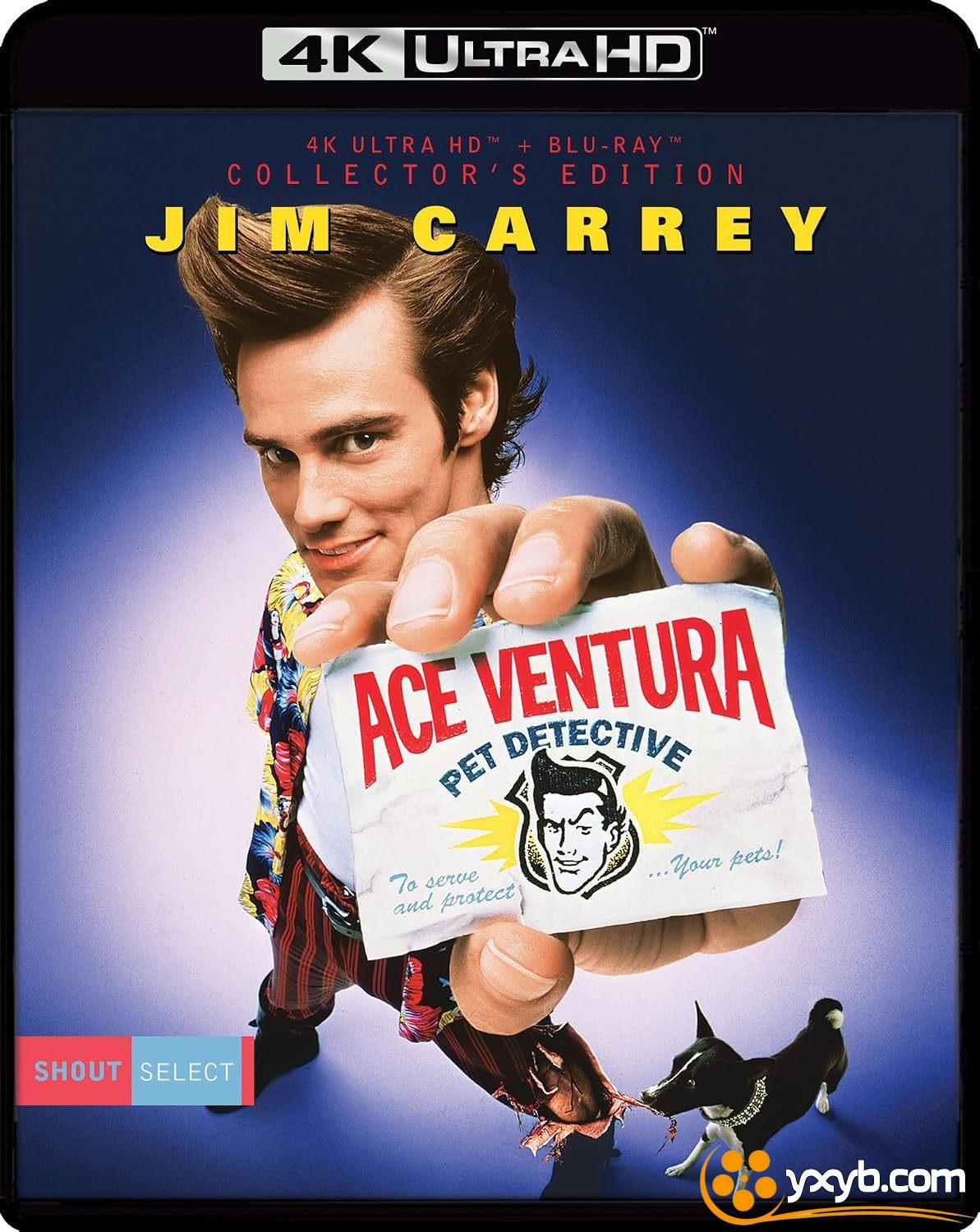 神探飞机头 Ace Ventura: Pet Detective (1994) 王牌威龙 / 宠物侦探
