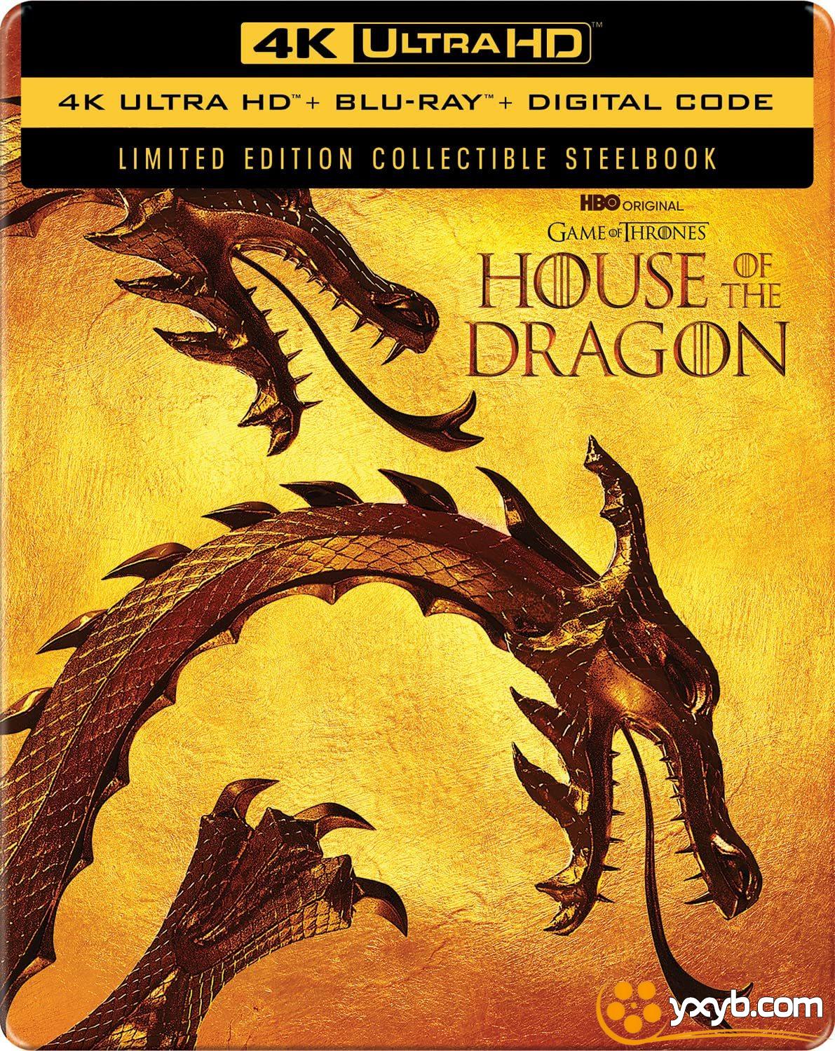 龙之家族 第一季 House of the Dragon Season 1 (2022) 龙族 / 权力的游戏前传：龙族 / 权力的游戏衍生剧：龙族 / 坦格利安 / 龙王家族 / 权力的游戏：龙之堡 / 龙族前传(台) / Fire & Blood