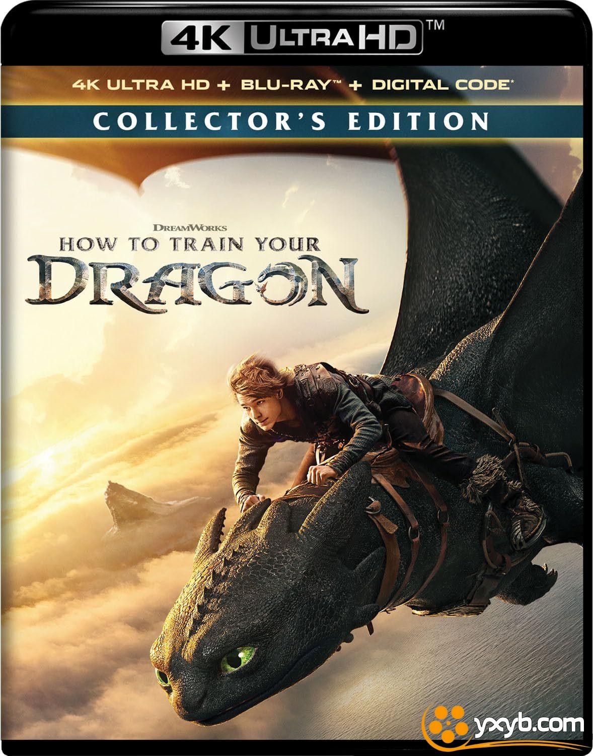 新·驯龙高手 How to Train Your Dragon (2025) 新驯龙高手 / 驯龙高手 / 驯龙高手真人版 / 驯龙记(港) / How to Train Your Dragon Live-ActionIMDb: tt26743210