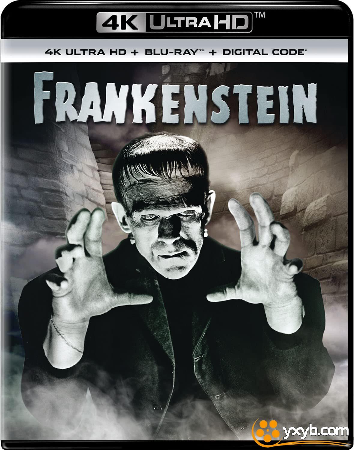 科学怪人 Frankenstein (1931) 弗兰肯斯坦 / 魔鬼博士