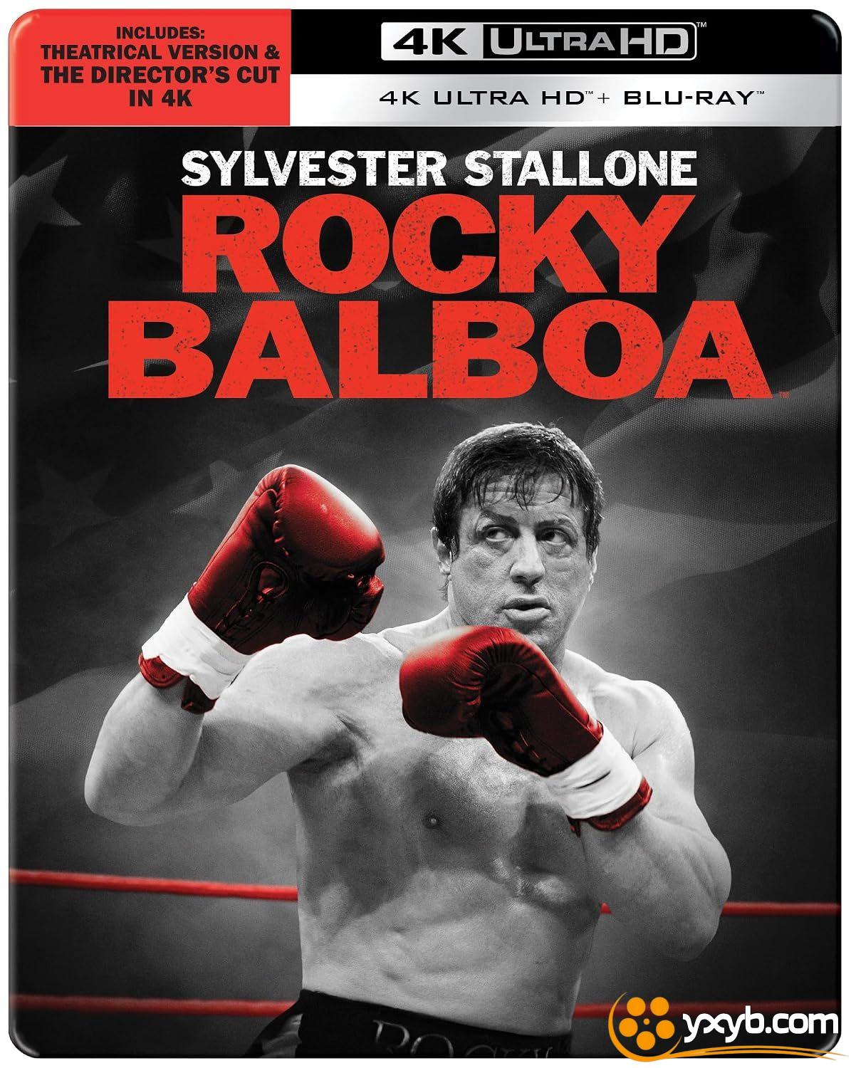 洛奇6：永远的拳王 Rocky Balboa (2006) 洛奇6 / 洛奇：拳王再临 / 洛基：勇者无惧