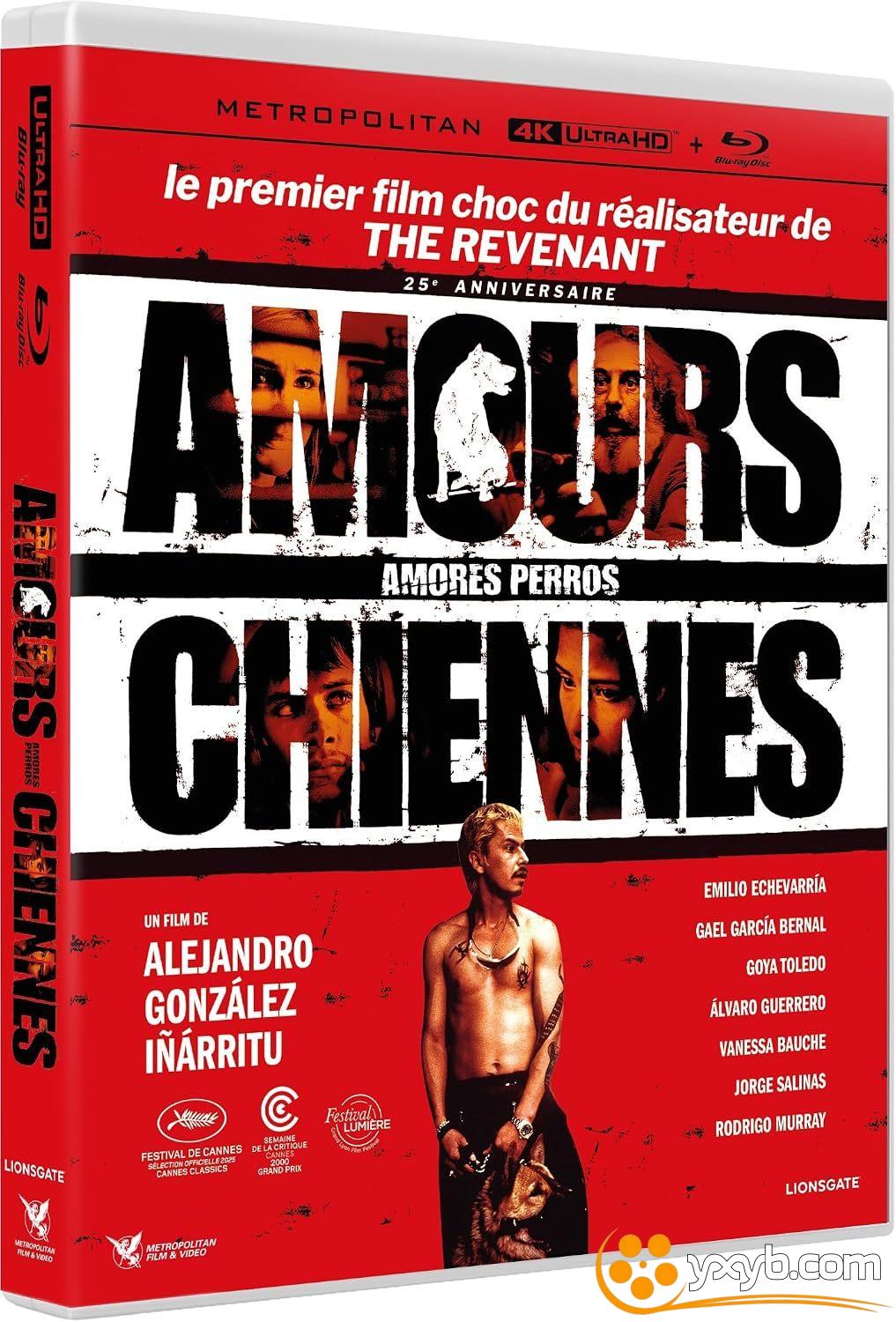 爱情是狗娘 Amores perros (2000) 狗男女的爱(港) / 爱是一条狗(台) / 人、爱、狗 / 爱情是母狗 / Love’s a Bitch
