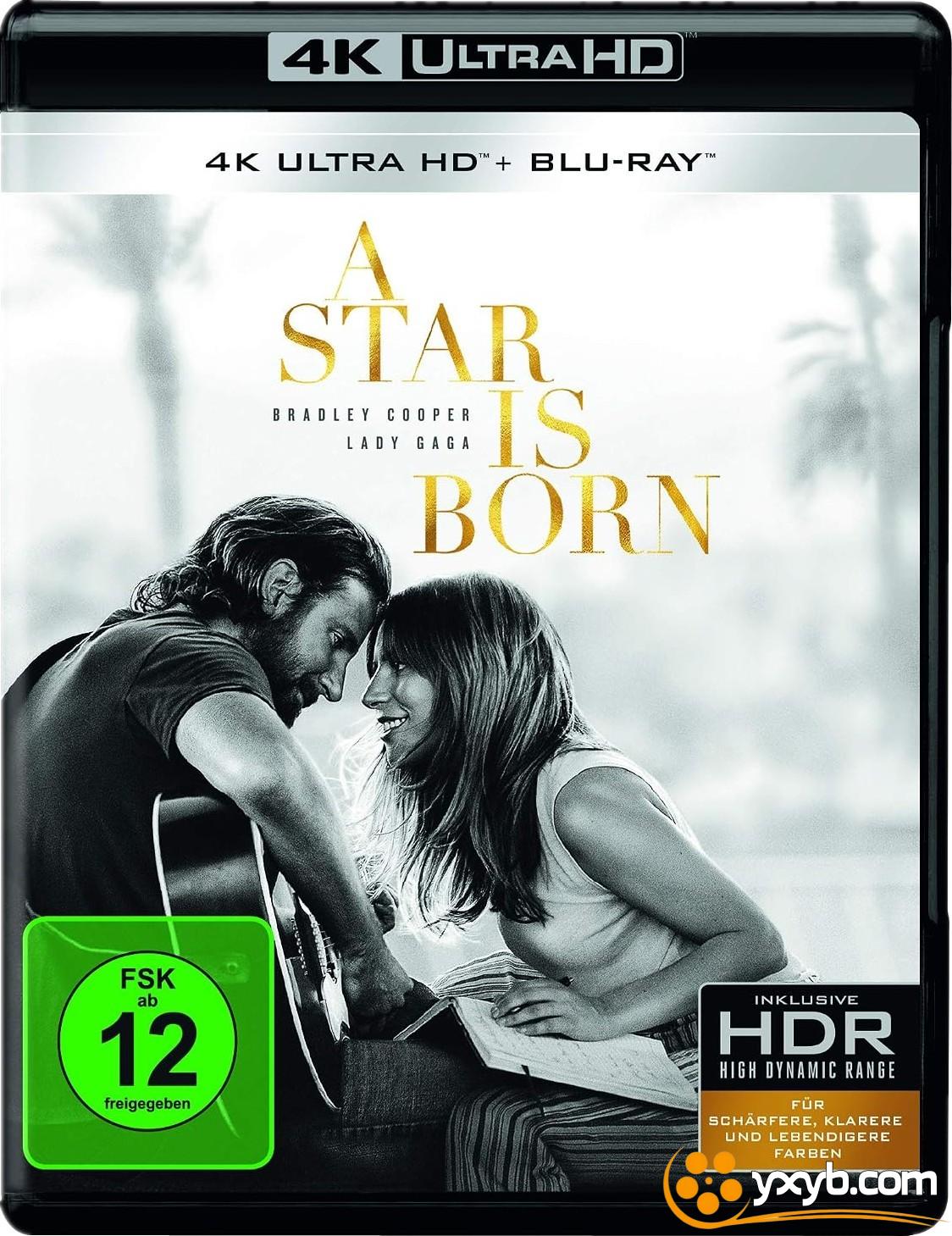 一个明星的诞生 A Star Is Born (2018) 星梦情深(港) / 一个巨星的诞生(台)