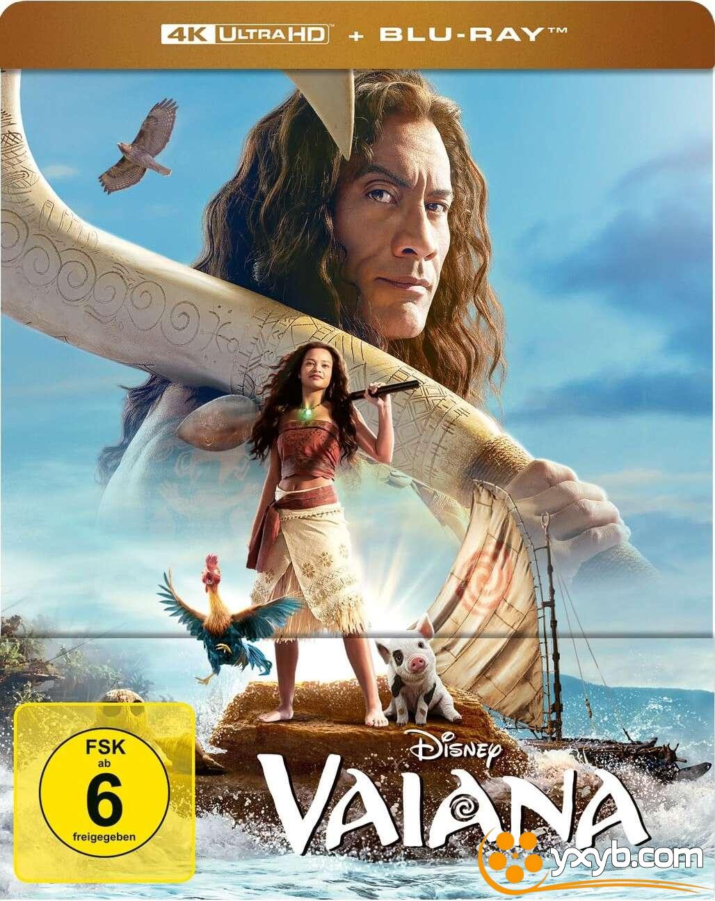 海洋奇缘：启航 Moana (2026) 海洋奇缘真人版 / 海洋奇缘(台) / 魔海奇缘(港)